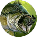 aki profile picture